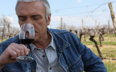 Swirling, Sniffing, and Sipping: The Three S’s of Wine Tasting