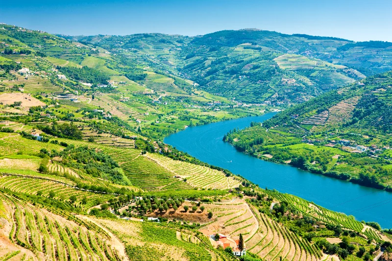 douro valley vineyard