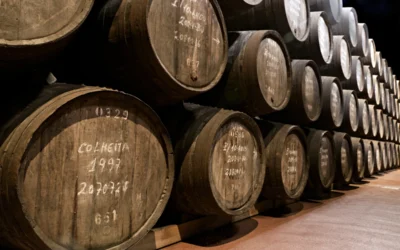 Top 10 Tips About Port Wineries And Port Wine Tours from Porto